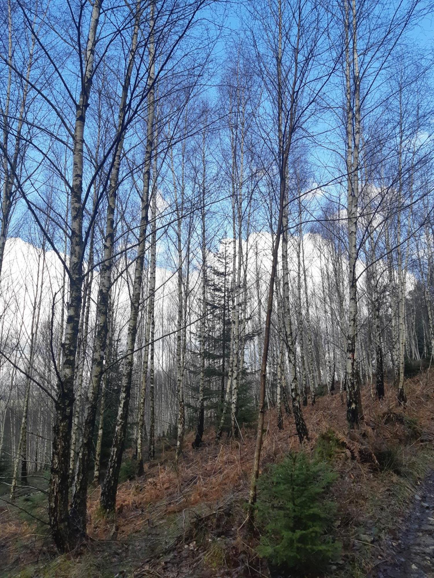 B&B Caprice D'Epices Francorchamps Bagian luar foto