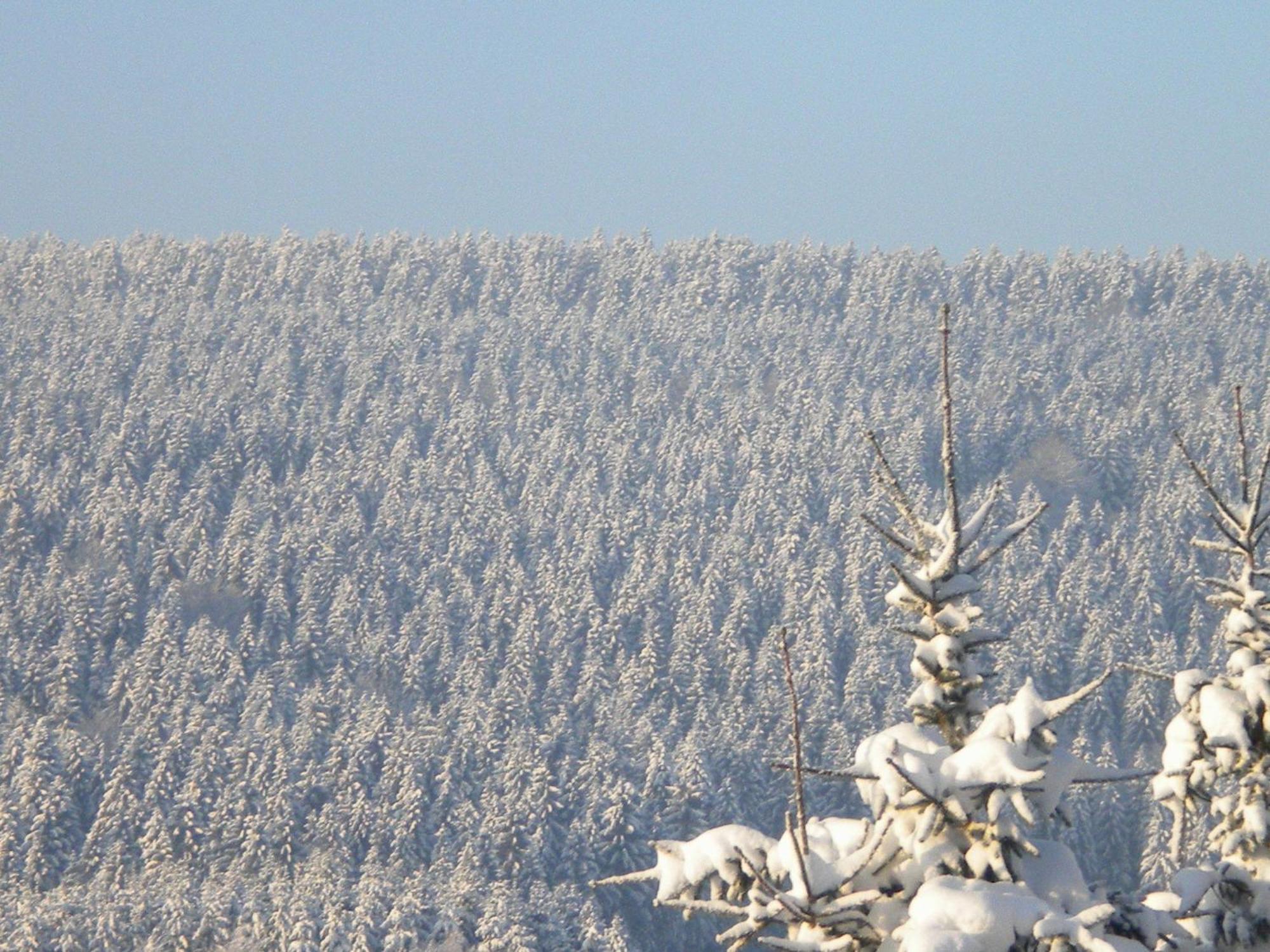 B&B Caprice D'Epices Francorchamps Bagian luar foto